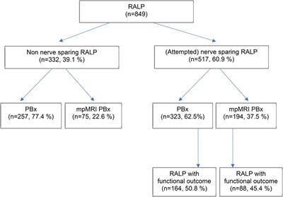 Impact of multiparametric magnetic resonance imaging targeted biopsy on functional outcomes in patients following robot-assisted laparoscopic radical prostatectomy